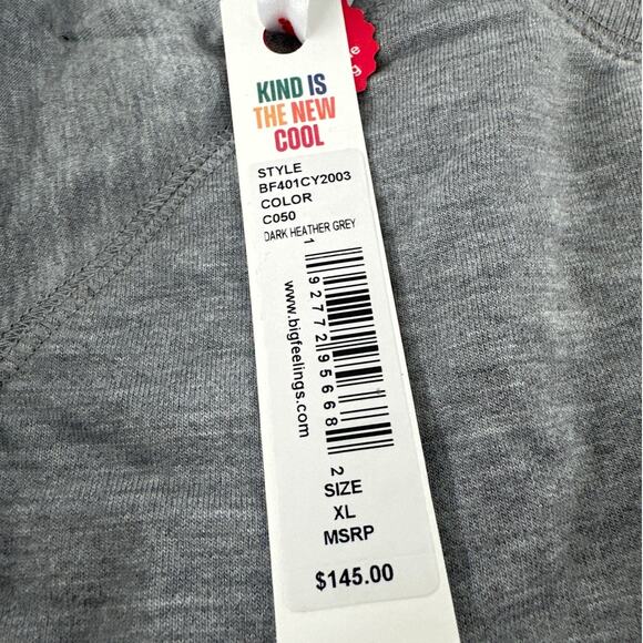 Big Feelings Women's Heather Gray Kelsey Cropped Crewneck Sweatshirt Size XL - Picture 3 of 9